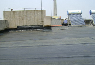 5277493.jpg 5277493.jpg