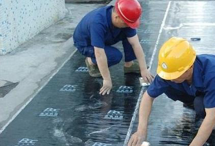 IMG160517170829668423.jpg IMG160517170829668423.jpg